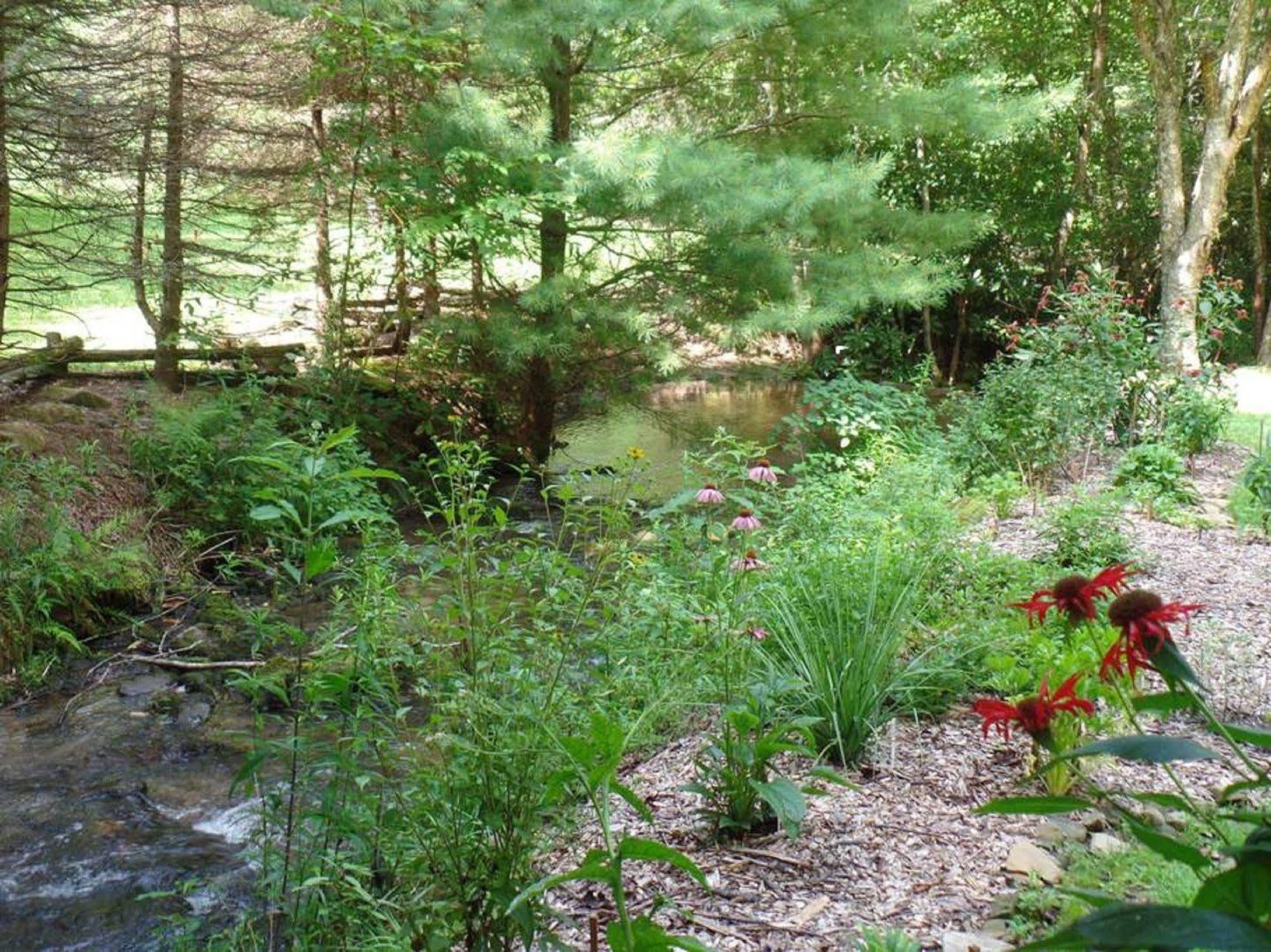 Creekside Paradise Bed And Breakfast Robbinsville Extérieur photo