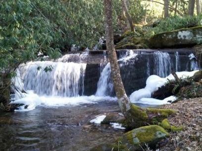 Creekside Paradise Bed And Breakfast Robbinsville Extérieur photo